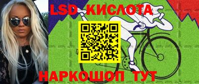 PSILOCYBIN Северобайкальск