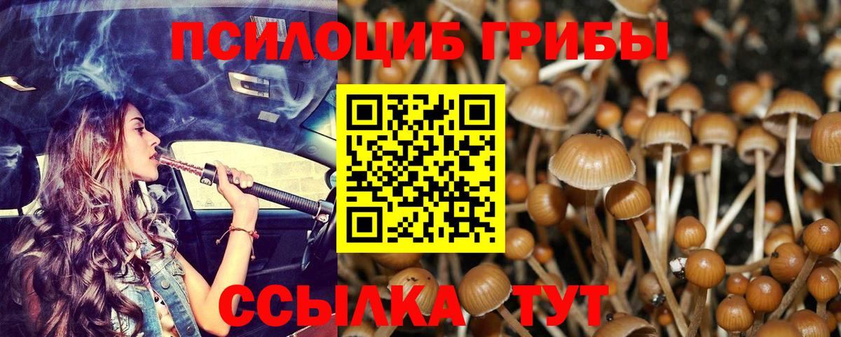Аргун  Псилоцибиновые грибы Cubensis  Вход с VPN  Галлюциногенные грибы ЛСД 